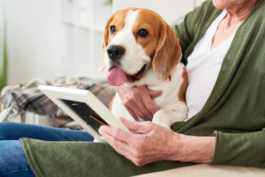 lonely senior woman with dog