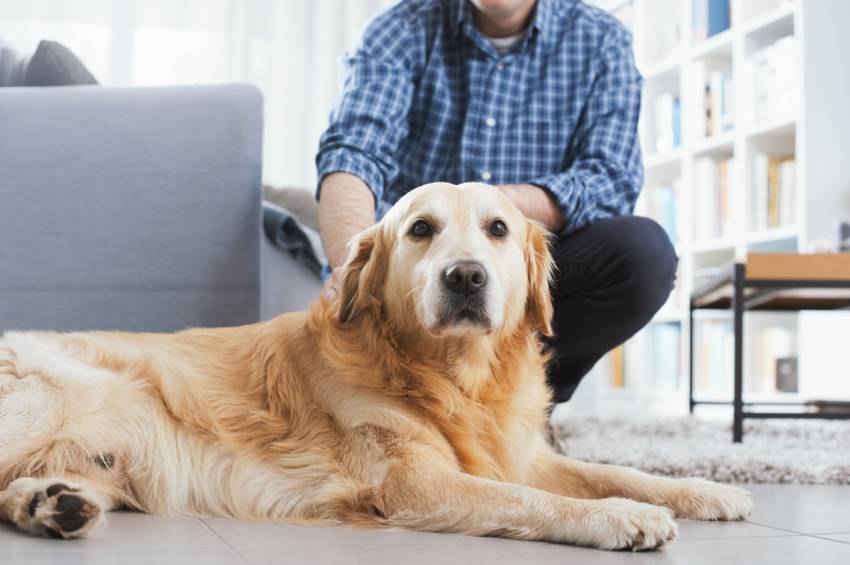 man cuddling his cute dog